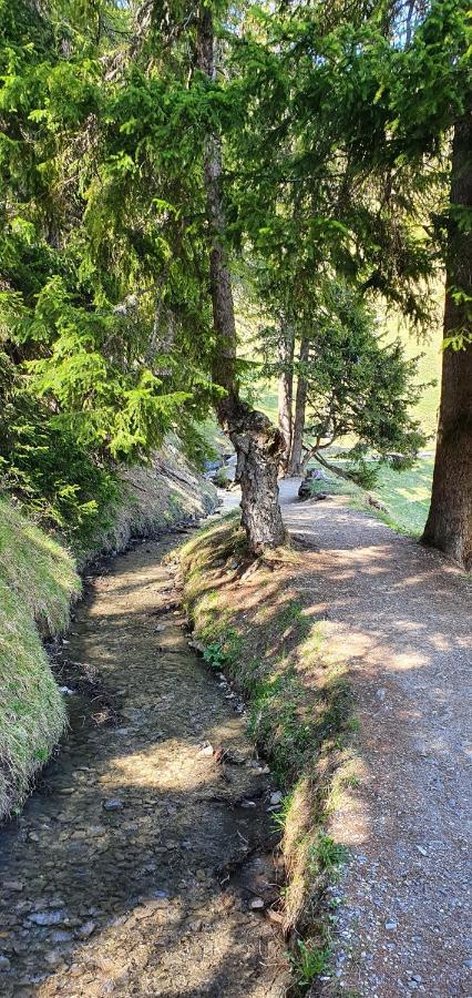 Un Moment De Detente Inoubliable Saillon-Les-Bain Exteriér fotografie